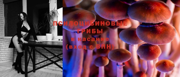 apvp Балахна
