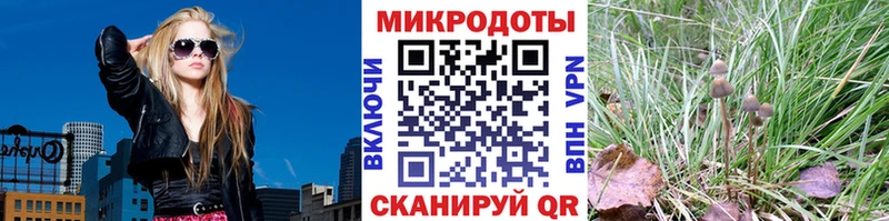 Псилоцибиновые грибы Magic Shrooms  ОМГ ОМГ tor  Салаир 